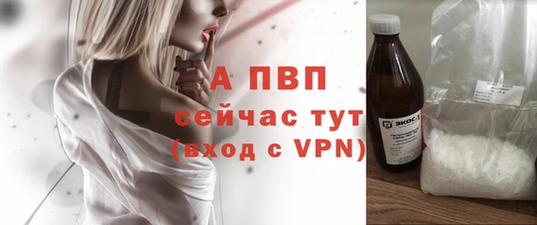 PSILOCYBIN Баксан