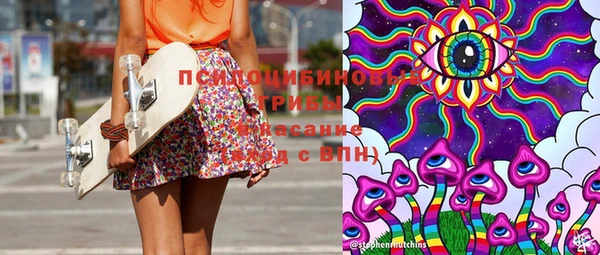 PSILOCYBIN Баксан