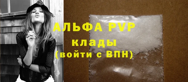 PSILOCYBIN Баксан