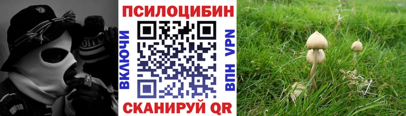 Псилоцибиновые грибы мицелий darknet Telegram Отрадное hydra сайт